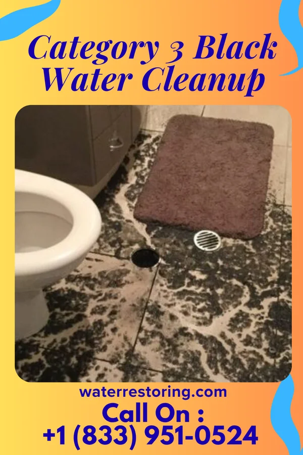 Category 3 Black Water Cleanup in Forsyth, GA