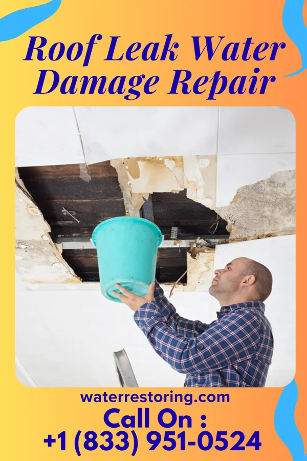Roof Leak Water Damage Repair in Forsyth, GA